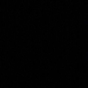 Meet your Posher, Flor